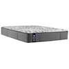 Sealy Euclid Ave Euclid Ave Queen Mattress